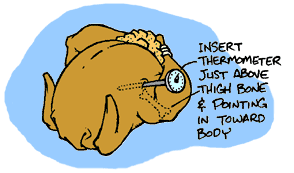 Thermomoeter Image