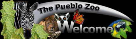 Pueblo Zoo Image